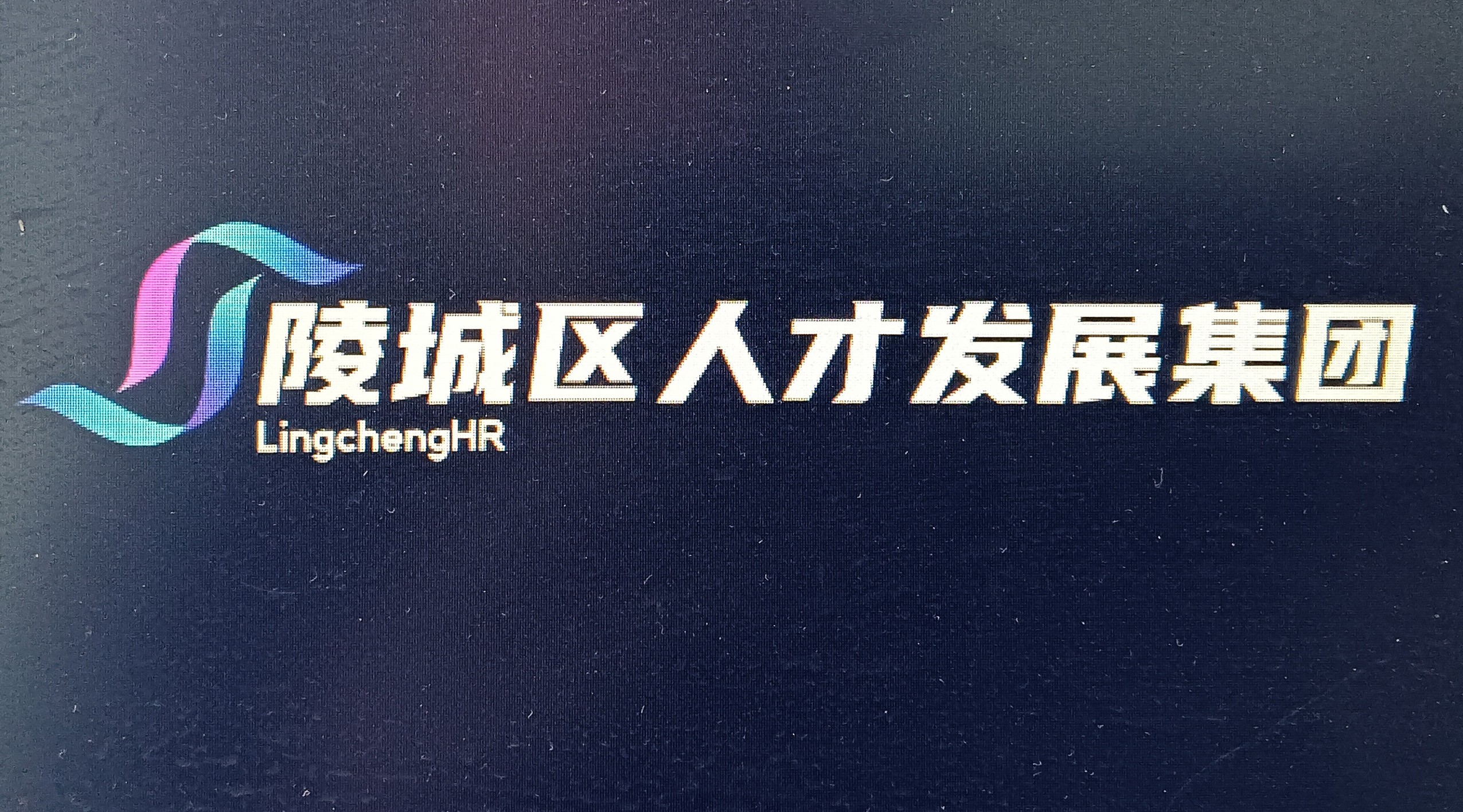 德州市陵城區(qū)人才發(fā)展集團(tuán)有限公司