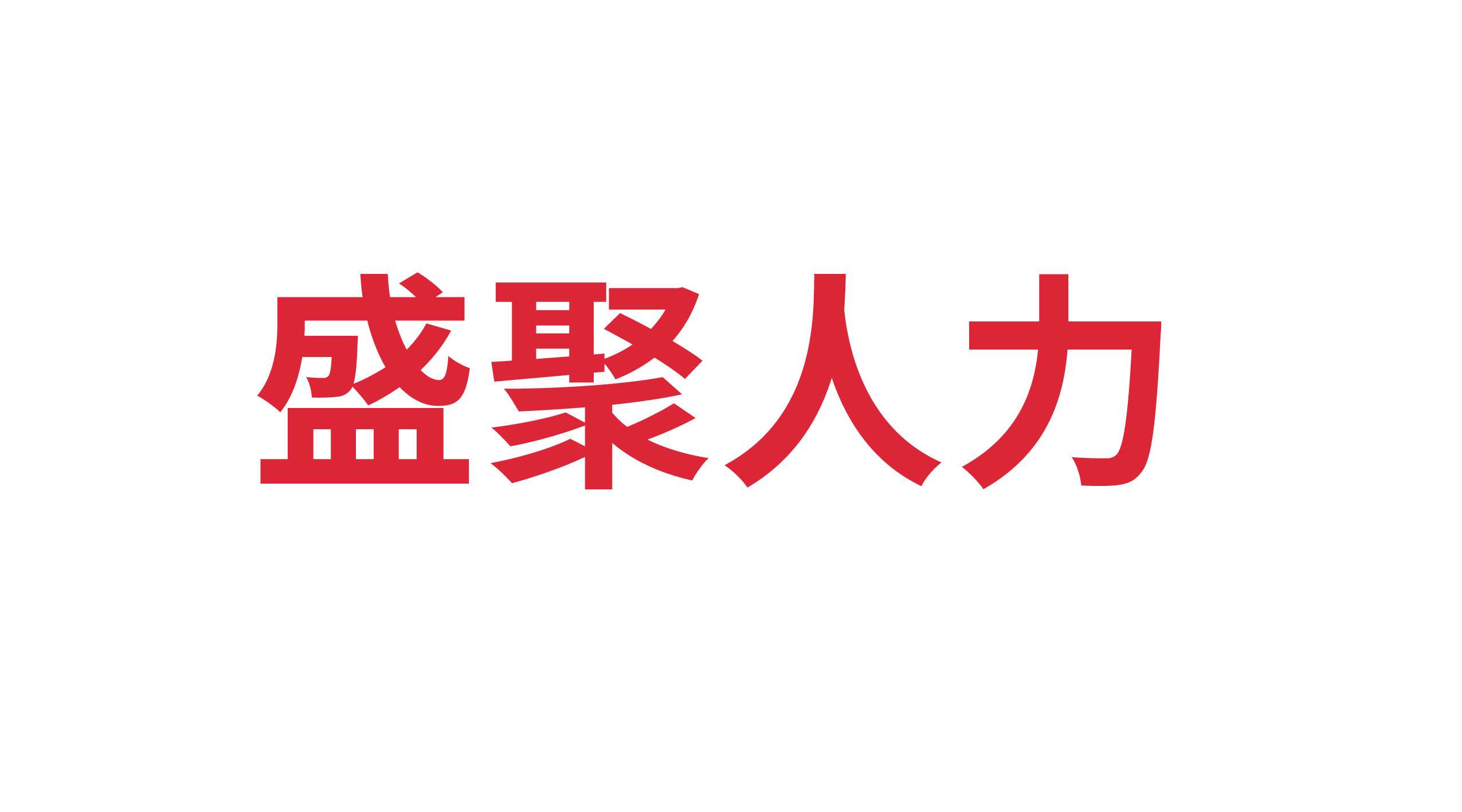 盛聚人力資源有限責(zé)任公司