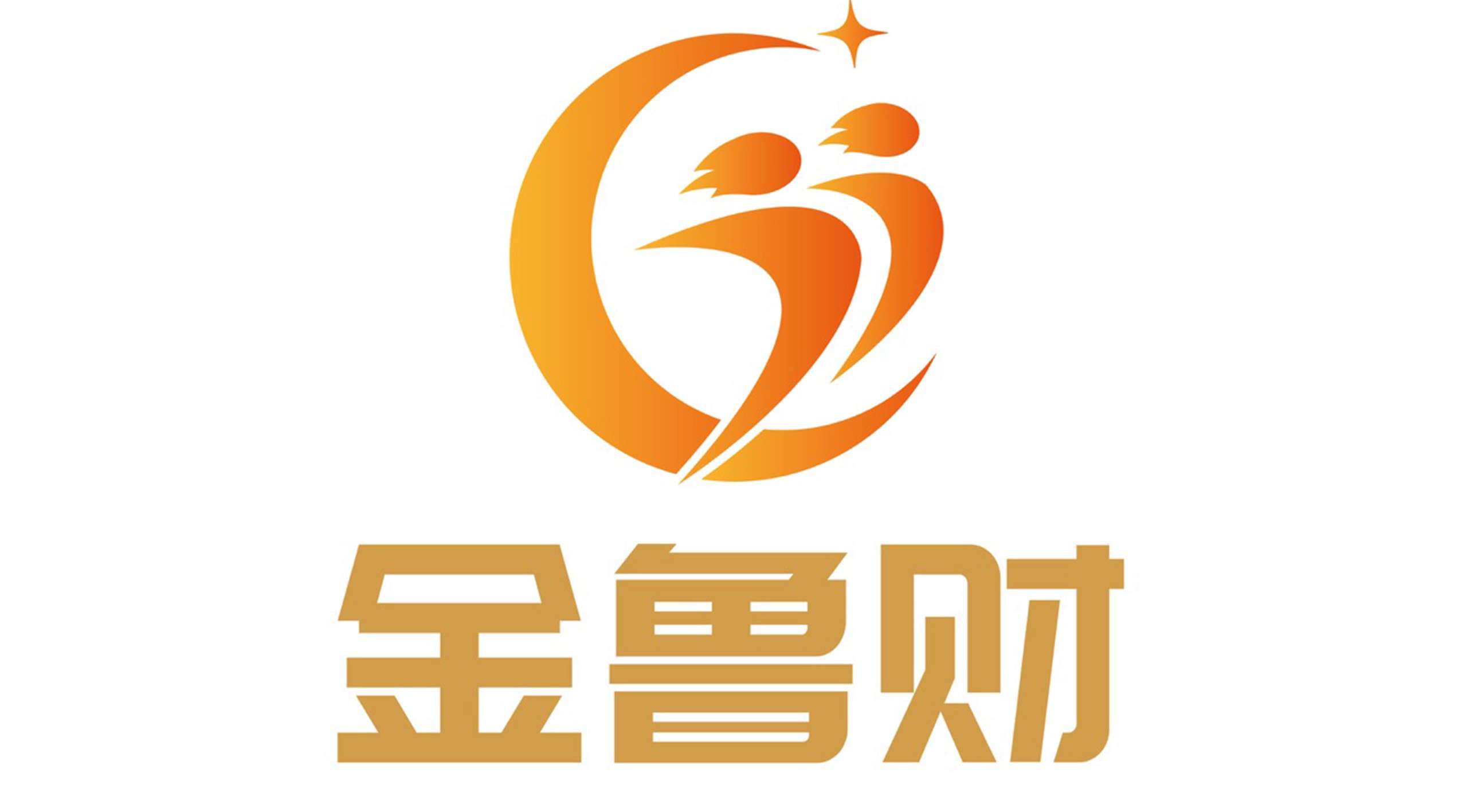 山東金魯財(cái)項(xiàng)目管理有限責(zé)任公司
